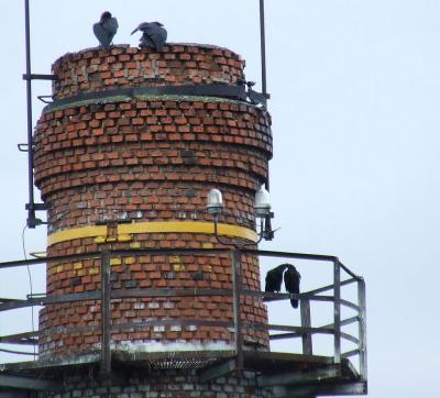 Прикрепленное изображение: gg2.jpg